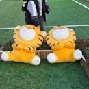 씨유 진영새마을점 | 2025 진영단감축제 부스 체험활동 먹거리 후기