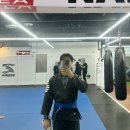 에스엠유도짐 네이버블로그
