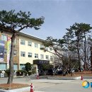 영암군청 종합민원실 이미지