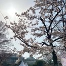 카페플리즈 | [내돈내산] 서울 을지로카페/을지로3가카페 하이드미플리즈 을지로(=Hide me, please) 솔직후기
