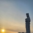 팔정도 | 오늘의 이야기) 불교, 팔정도의 정정진. 멈추지않는 마음의 근육