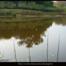 아화2리 이미지