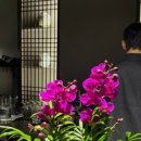 수원-매산-224 이미지