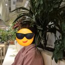 어반라운지 | 파주 스타필드빌리지 운정 | 어반플랜트·펫라운지 애견동반 후기