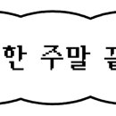 해피애견왕국 네이버블로그