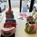 피치비치 이미지