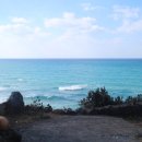 호박다방 이미지