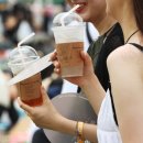 ‘제로음료·탄산수·아메리카노’ 열풍에 한국인 당 섭취 6% 줄었다 이미지