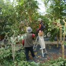 명덕농장 이미지