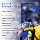 [공홈] 울산 HD FC 팬 여러분께 드리는 글 이미지