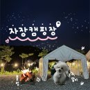 파주 천막 있는 개별 타프존 &#34;자장캠핑장&#34; 내돈내산 후기