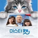 캣