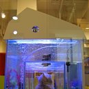 캣틀리에 이미지