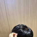 단비스타일