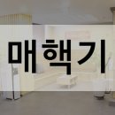 목구멍에 매실이 있는 것 같은 대전 매핵기 이미지