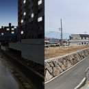 고성농협 서부지점 네이버블로그