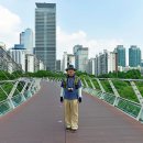 샛강생태공원 Daum카페