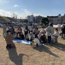 도그헬퍼 이미지