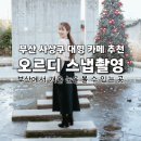 서부징검다리작은도서관 | 부산 사상 대형 카페 오르디 스냅촬영 후기 음료 디저트 가격 주차