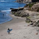 so tree farm 이미지