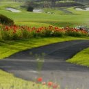 벨리스크린 이미지