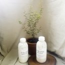 이레목장 이미지