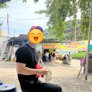 [국내/체험] 충남 공주 - 공주알밤농원 밤 따기 체험