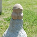 건강과 성 박물관 이미지