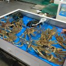 대천항세꼬시 이미지