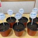 아이젤어린이집 이미지