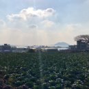 곱닥한 이미지