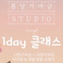 12현에서 25현까지 가야금 배우기 이미지