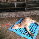 와우한우농장 이미지