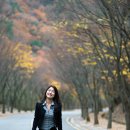미진 이미지
