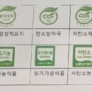 지에스25대전시네마