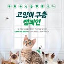 베링거인겔하임동물약품(주) 이미지