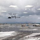 01.22. ~ 01.28. - &#39;잠 못든 밤 끝이 없어보여도 절대 포기하지 마&#39;