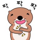 고금국밥 네이버블로그