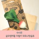 공기방울 | [육아용품] 자연주의 치발기 올리앤캐롤 라모나방울무 사용 후기
