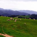 소담목장 이미지