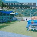 도담도담자연놀이