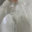B Light(비라이트)