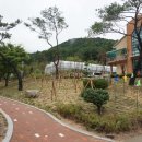 누리담한의원 네이버블로그