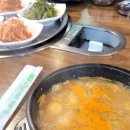 하계생오리 이미지