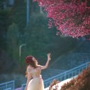 순천매산고등학교 이미지