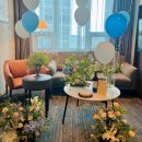 소노캄 고양 이미지