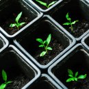 풍성농약사 이미지