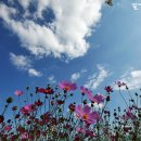 평화목장2 이미지