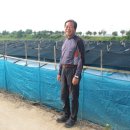 삼흥농장 이미지