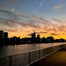 전통중앙도매시장 이미지